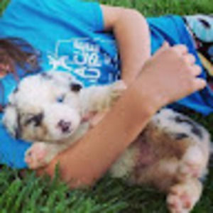 Meet your Posher, Elena's entertainment